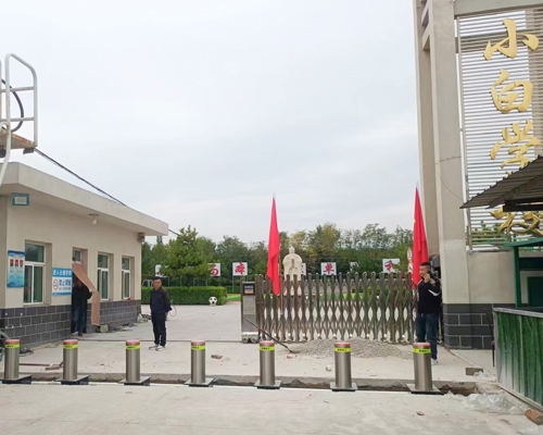 小白學校
