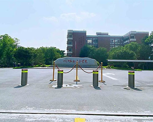 固定式路樁